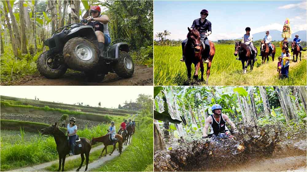 Bali Quad Biking and Horse Riding Tour