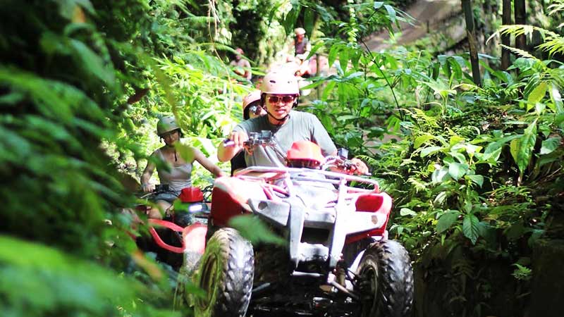 Bali ATV Quad Bike and Breakfast with Orangutan