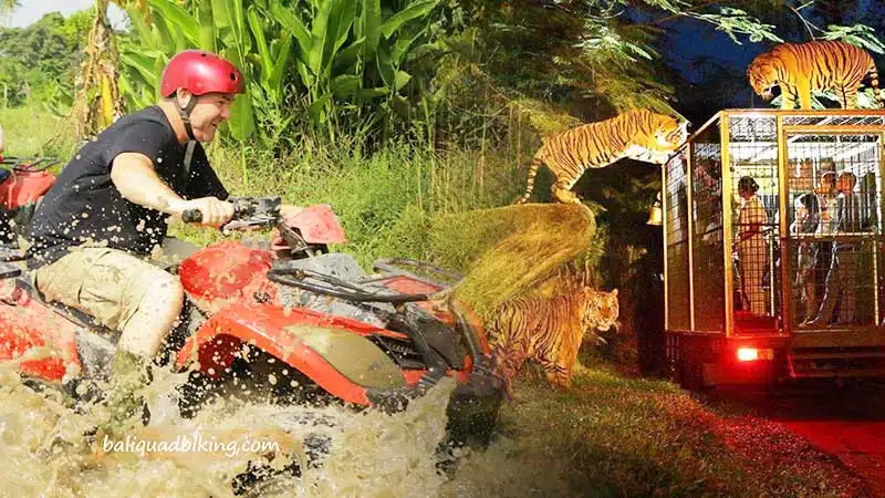 Bali ATV Quad Bike and Night Safari Tour