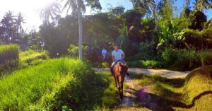 Bali horse riding adventure | Horseback Riding Bali