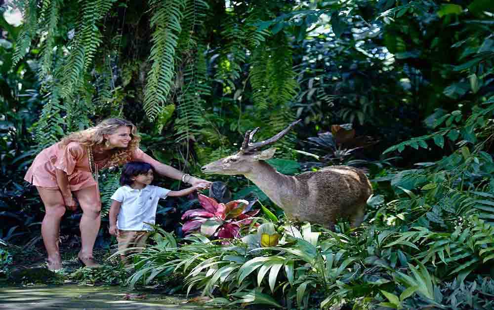 Bali Zoo Park