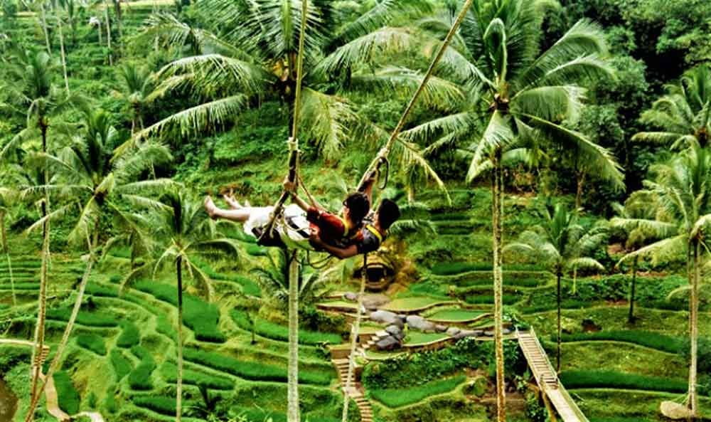 Jungle Swing Ubud Bali
