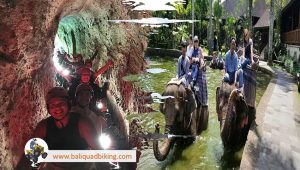 Kuber Bali ATV and Elephant Ride