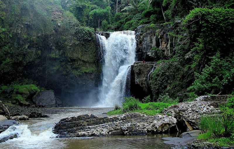 Kuber Bali ATV and Ubud Tour