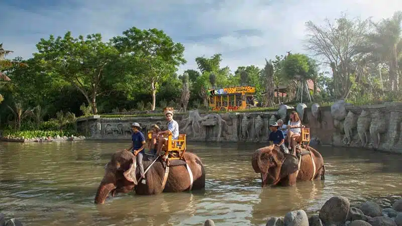 Elephant Riding at Bali Zoo