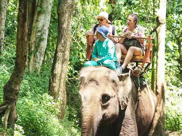 bali atv tour