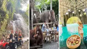 Bali Quad Bike, Breakfast with Orangutan and Tlaga Singha River Pool