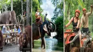 Bali Quad Bike, Breakfast with Orangutan and Elephant Ride