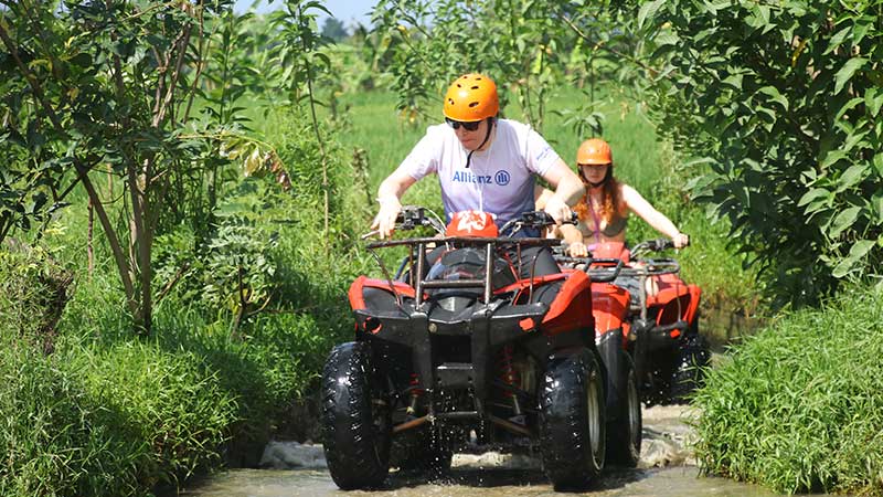 Combo Bali ATV Quad Bike and Butterfly Park