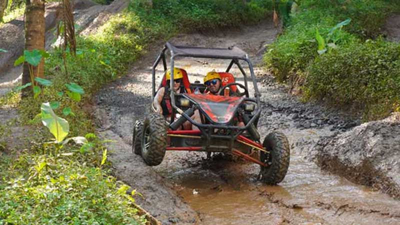 Key Differences Between ATV vs UTV