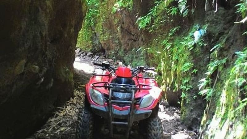 Bali Quad Bike Tours