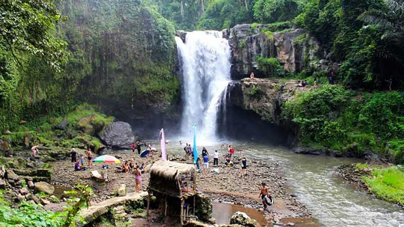 Bali ATV Quad Bike with Monkey Forest and Tegenungan Waterfall