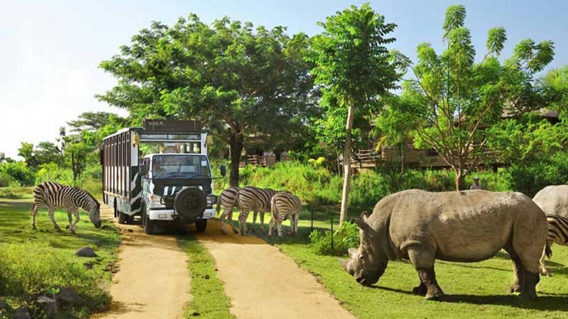 Bali ATV + Bali Safari Park